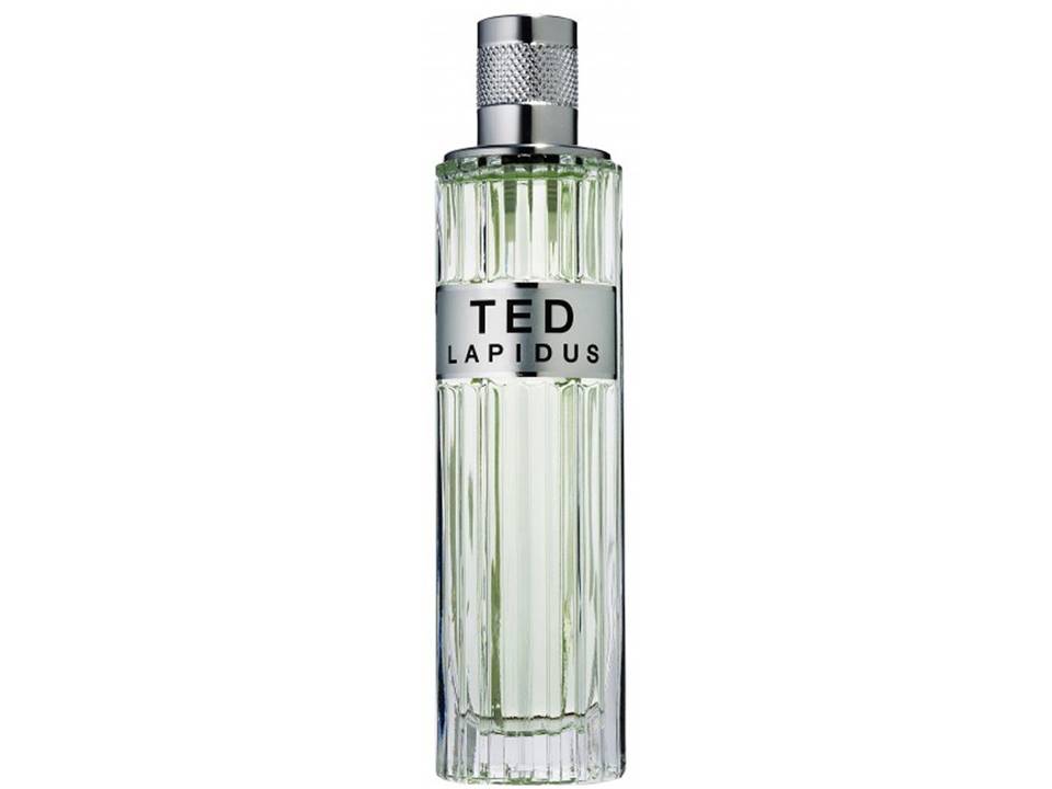 TED  pour Homme by Ted Lapidus Eau de Toilette TESTER 100 ML.